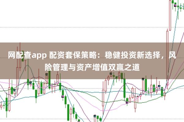 网配查app 配资套保策略：稳健投资新选择，风险管理与资产增值双赢之道