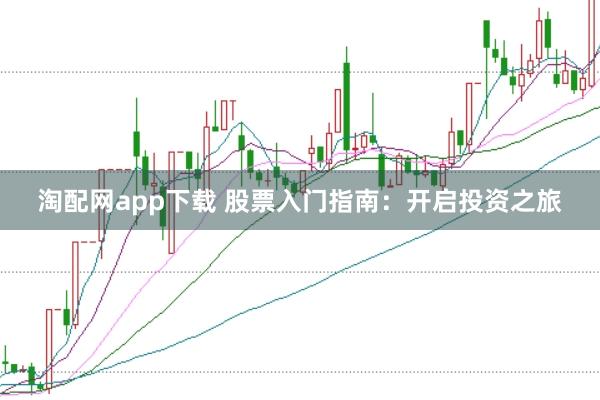 淘配网app下载 股票入门指南：开启投资之旅