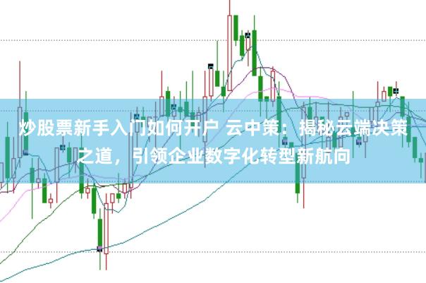 炒股票新手入门如何开户 云中策：揭秘云端决策之道，引领企业数字化转型新航向