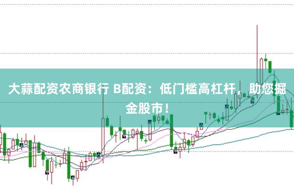 大蒜配资农商银行 B配资：低门槛高杠杆，助您掘金股市！