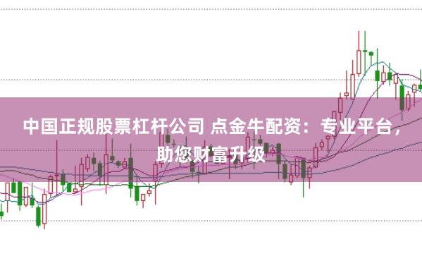 中国正规股票杠杆公司 点金牛配资：专业平台，助您财富升级