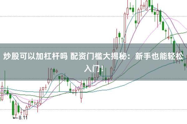 炒股可以加杠杆吗 配资门槛大揭秘：新手也能轻松入门！