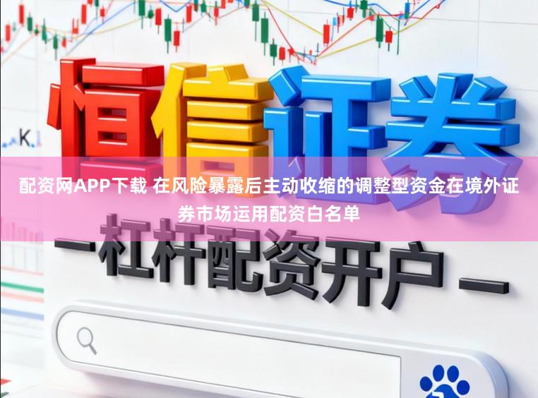 配资网APP下载 在风险暴露后主动收缩的调整型资金在境外证券市场运用配资白名单