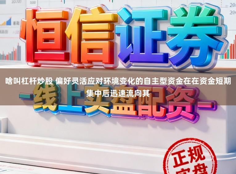 啥叫杠杆炒股 偏好灵活应对环境变化的自主型资金在在资金短期集中后迅速流向其